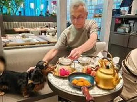 Khách cho chó cùng ăn trên đĩa nhà hàng cao cấp gây làn sóng sợ hãi ở Hong Kong