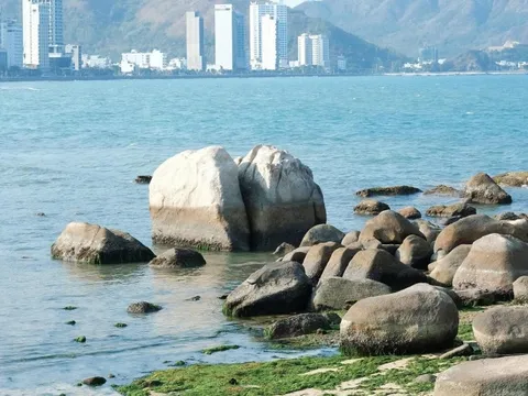 Khách vô tư bẻ san hô ở Hòn Chồng (Nha Trang)