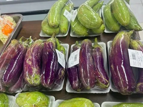 Cách làm cà tím xào thịt băm đậm đà, thơm ngon đơn giản tại nhà