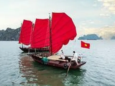 Người giữ bí mật cánh buồm có thể đi ngược gió trên Vịnh Hạ Long