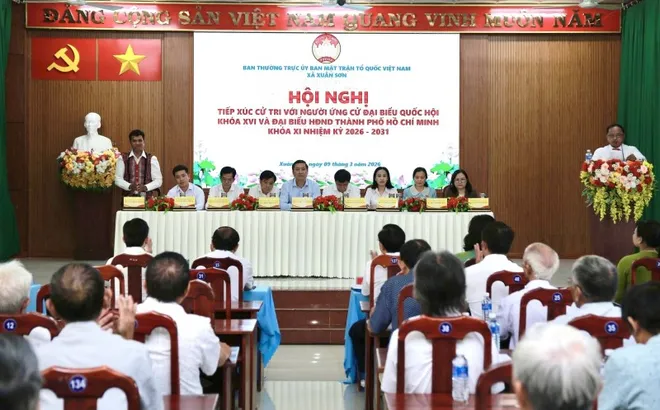 Lá phiếu và kỳ vọng mới