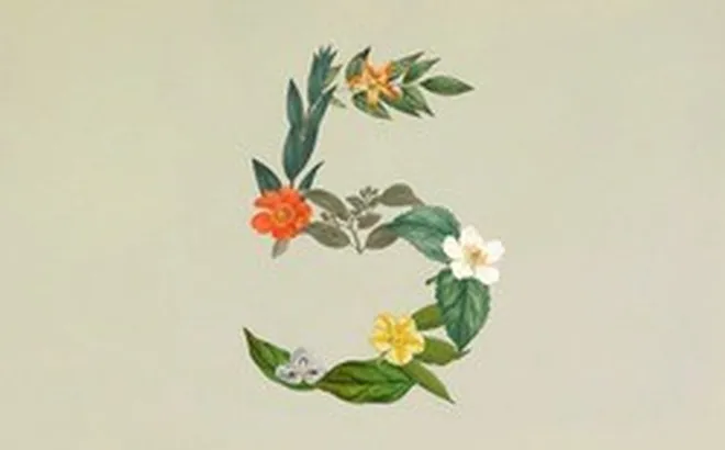 Anthropic ra mắt Claude Sonnet 5: Ngang ngửa Opus 4.8 nhưng giá chỉ bằng một nửa