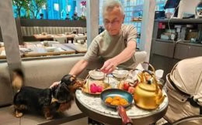 Khách cho chó cùng ăn trên đĩa nhà hàng cao cấp gây làn sóng sợ hãi ở Hong Kong