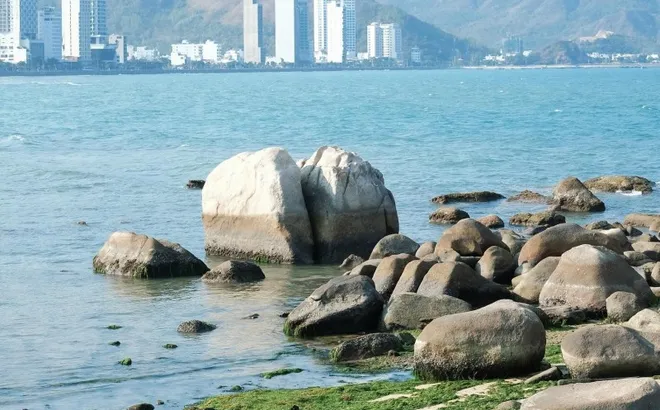 Khách vô tư bẻ san hô ở Hòn Chồng (Nha Trang)